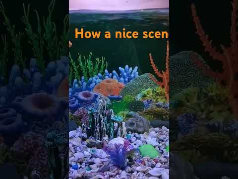 ❤️❤️❤️🇧🇩🇧🇩🇧🇩🇧🇩 #music #love