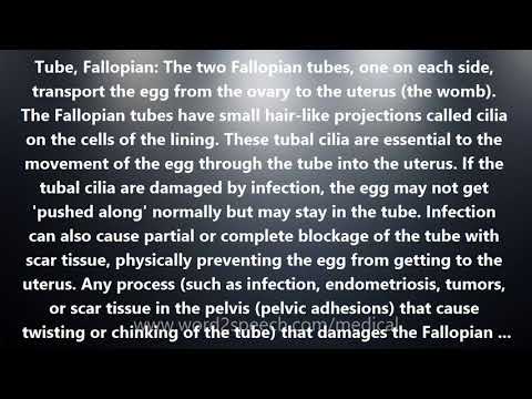 Tube, Fallopian - Medical Definition and Pronunciation