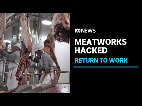 Global meat company restarts operations after cyber attack | ABC News