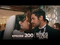 Rüzgarlı Tepe 200 Bölüm  Winds Of Love Episode 200
