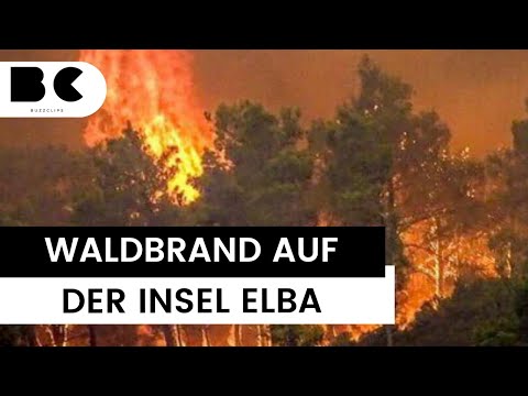 Schlimmer Waldbrand auf der Urlaubsinsel Elba ausgebrochen