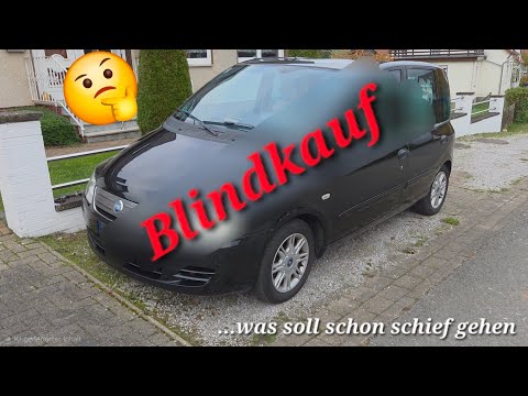 I'm buying the cheapest Fiat Multipla in Germany | Multipla Garage