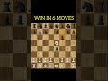 A Best Checkmate For Beginners Win Game At Only 6 Moves Chessshorts Chess Howtowinatchess