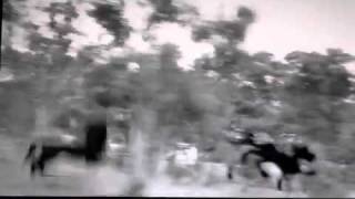 Jenny Hval - Blood Flight