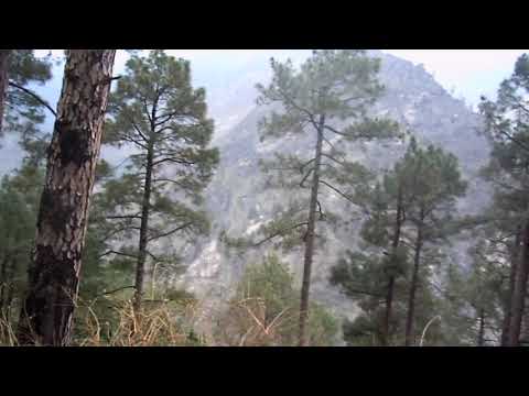 Dangerous Slope || Himachal Pradesh || Incredible India