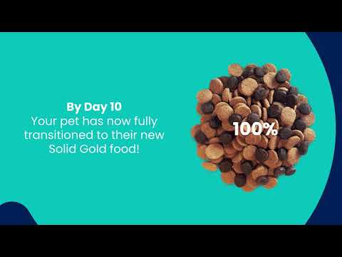 How to Transition Your Pet to Solid Gold® Pet Food | Gut Health Made EASY