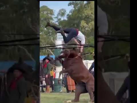 jinete Uruguayo 🇺🇾la madre de la jineteada se mandó 🙌💯 #caballos #doma #potros #gauchos #horse