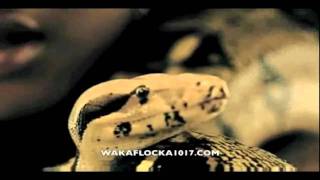 Waka Flocka Flame - Snakes In The Grass (Official Video) (Dirty Version) (HD)