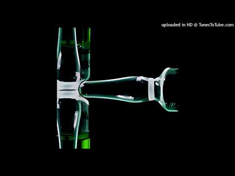 Crisopa - Nana Veloz (2007)