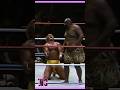 Hulk Hogan Vs Kamala