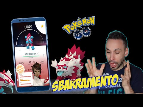 COMMUNITY DAY ZIGZAGOON ASSURDO! POKEMON GO ITA