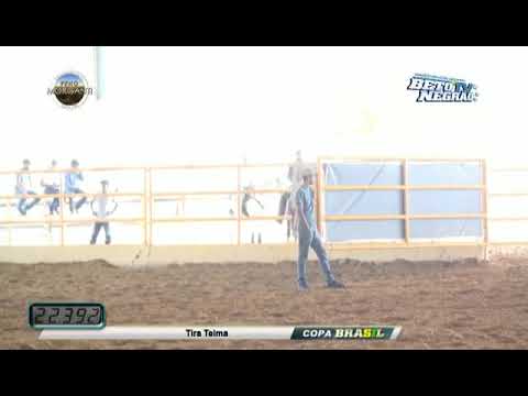 Captiva Six x Renan Gruman 16'882