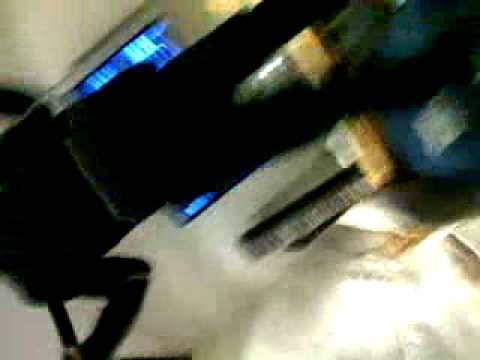 Morty bee's hard dance mania!