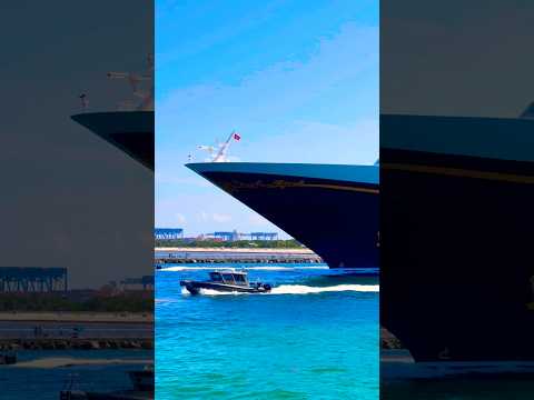 Thumbnail for Disney Dream 🛳️#like #share #comment #subscribe #cruiseship #cruise #vacation #shorts #short #video