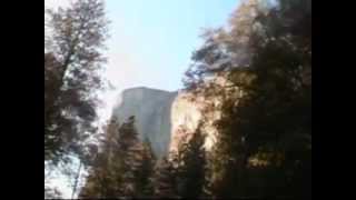 The Daysleepers - The Soft Attack