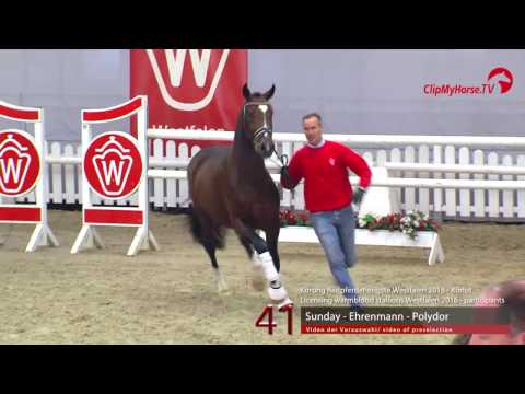 41  Sunday - Ehrenmann - Polydor