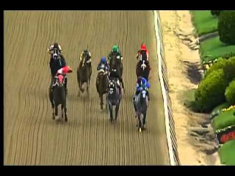 Pimlico 05/01/15 race 6