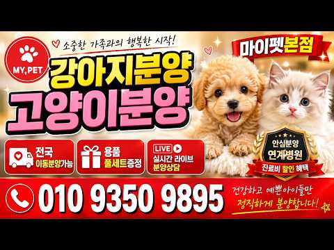 강아지분양 고양이분양 라이브❤️전국어디든분양가능❤️라이브 실시간…