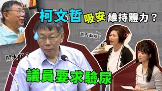 柯文哲赴議會專案報告 與藍綠議員唇槍舌戰