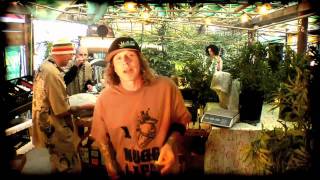 Kottonmouth Kings   My Garden