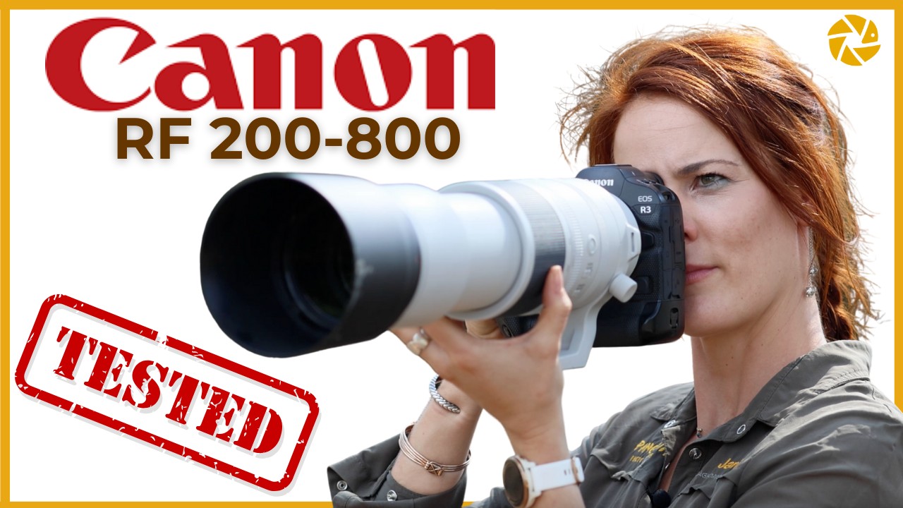 Canon RF 200-800mm F6.3-9 IS USM – Introduction & Key Features