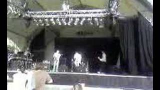 Pink Lizards- Deadwood