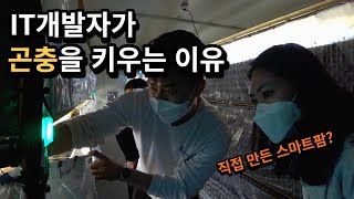 IT 개발자가 곤충 스마트팜을 만들게 된 이유는? 귀뚜라미 키워 대박난 31살 농부 [귀뚜라미 스마트팜] 인…