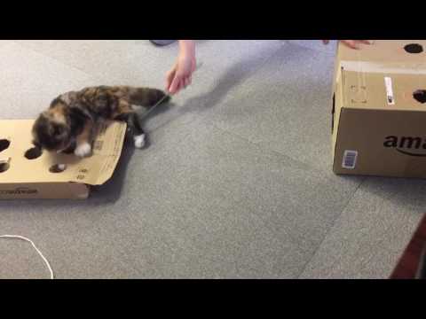 20170630 バーニー激闘