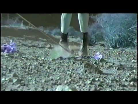 Eternal Summers "Millions"