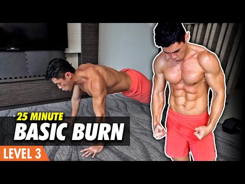 Basic FULL BODY | No Equipment Home Workout (Level 3)