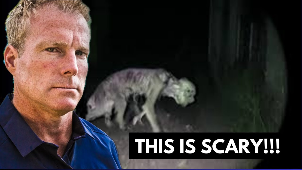 YouTube Thumbnail Downloader FULL HQ IMAGE