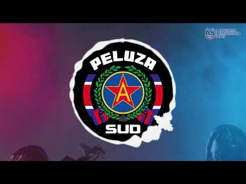 SUD STEAUA - Și de câinii erau în gară..