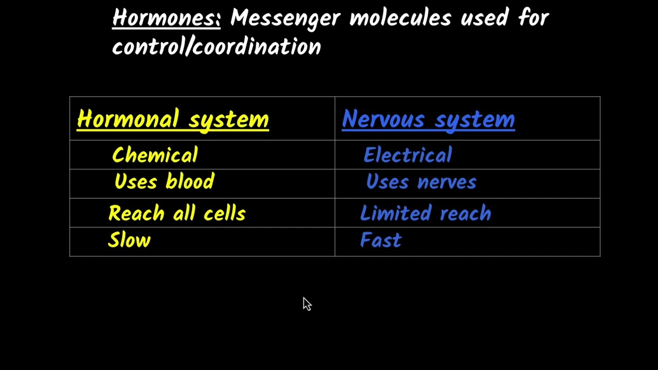 Hormones in animals (Endocrine glands) | Control & coordination | Class 10 Biology | Khan Academy
