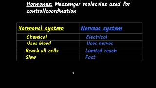 Hormones in animals (Endocrine glands) | Control & coordination | Class 10 Biology | Khan Academy