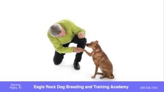 preview picture of video 'Eagle Rock Dog Breeding and Training Academy - Pet Training in Rigby, ID'
