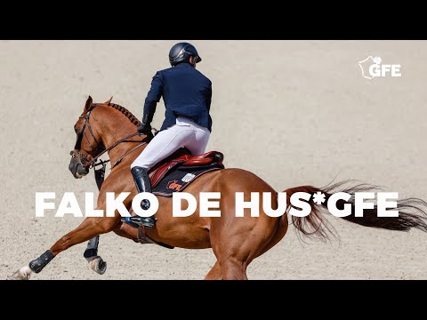 FALKO DE HUS*GFE 2023