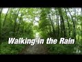 Walking In The Rain Gail Auen In Villach Carinthia Austria