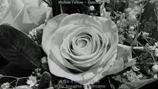 [1hour/1시간] Dancing - Mellow Fellow