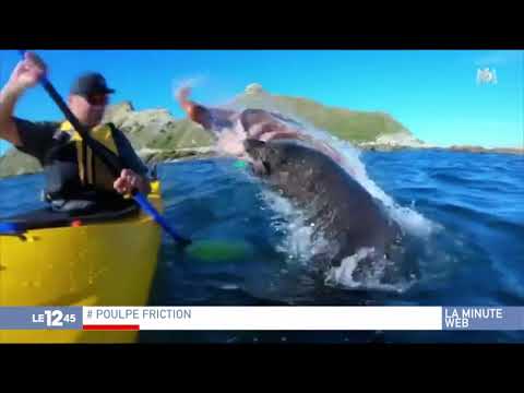 Le 1245 20180927 1312 lmw