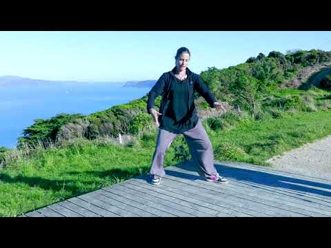 Tai Chi 5 Min a Day - Mod 05  Dragon Flies Touch the Water,  Fair Lady,  Double Spiral - one camera