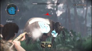 Let's Play Cabela's African Adventures Part 9 Alpha Elephant