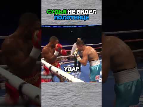 Судья не заметил выброшенное полотенце, пока тренер умолял остановить бой 😱