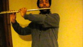 The Heart asks pleasure first (Nightwish Version) - Arranged for Flute