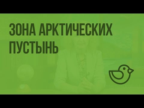 Зона арктических пустынь