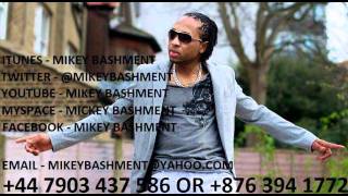 SUMMER FLING  MIXED BY DJ MIKEY BASHMENT(CHIMNEY RECORDS) 2011
