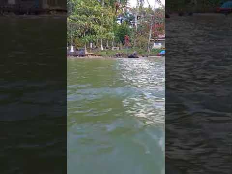 Área 3 (Parte2) - Baía de Camamu, Bahia, Brasil