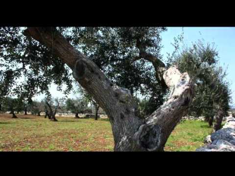 Herzensachen Cosmic Angel Song by Sanna-Pirita&Andy Eicher from the new Album "Electric Mantra