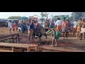 Ponnar Sankar Keda Vettu Veerapur