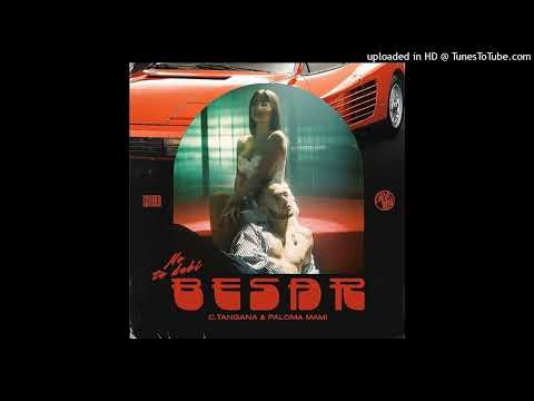 NO TE DEBI BESAR - C. Tangana, Paloma Mami (audio)