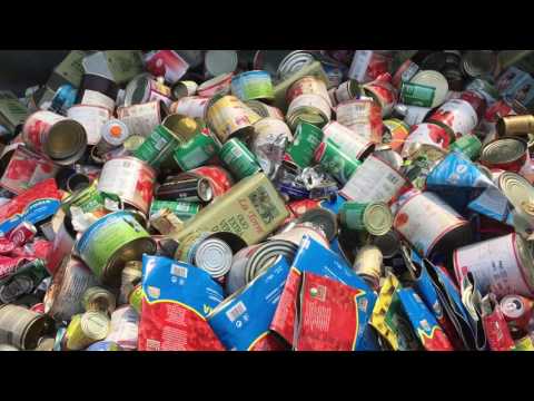 Anteprima: TGRAGAZZI: l'inquinamento